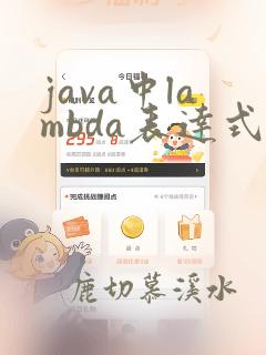 java中lambda表达式用法