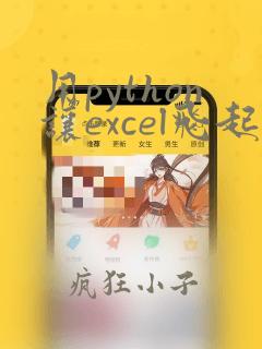 用python让excel飞起来电子版