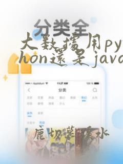 大数据用python还是java