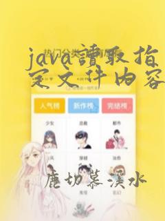 java读取指定文件内容