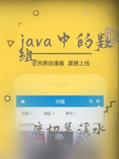 java中的数组
