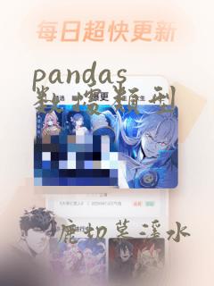 pandas 数据类型
