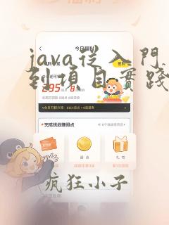 java从入门到项目实践pdf
