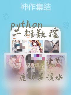 python 二维数据