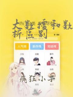 大数据和数据分析区别
