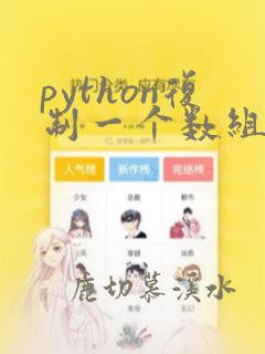 python复制一个数组