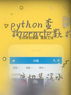 python查询oracle数据库