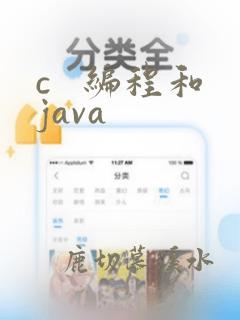 c 编程和java