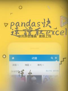 pandas快速读取excel