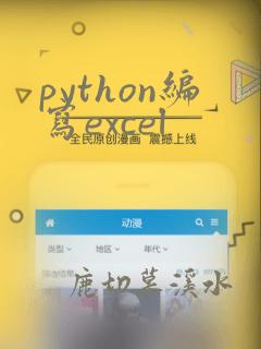 python编写excel