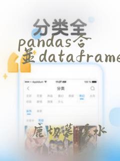 pandas合并dataframe