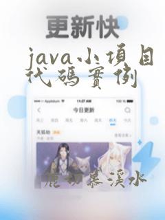 java小项目代码实例