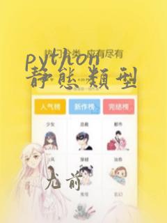 python 静态类型