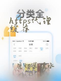 https代理缓存