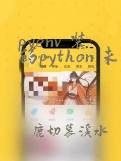 pyenv 装的python 未找到