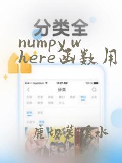 numpy where函数用法