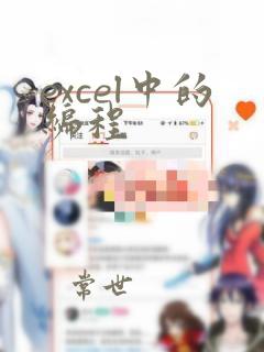excel中的编程