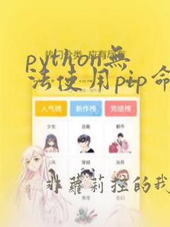 python无法使用pip命令