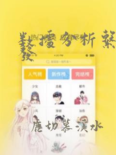 数据分析系统开发