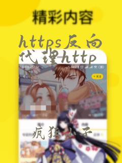 https反向代理http