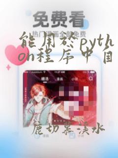 能用于python程序中自定义变量名