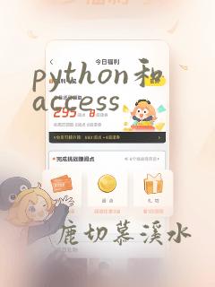 python和access