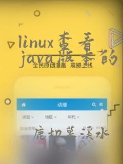 linux查看java版本的命令