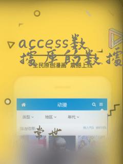 access数据库的数据类型