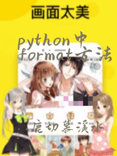 python中format方法