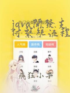 java开发支付系统流程