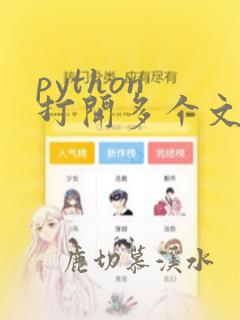 python 打开多个文件