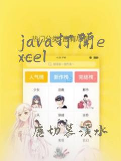 java打开excel