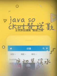 java socket发送数据