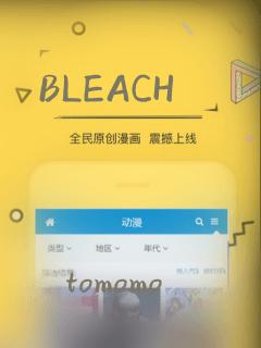 BLEACH：结局+番外