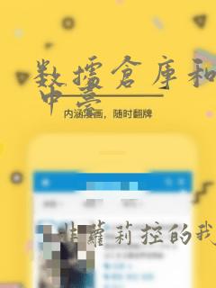 数据仓库和数据中台