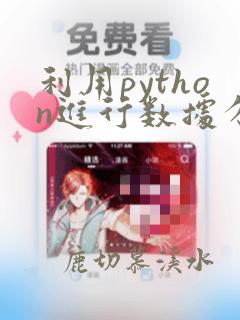 利用python进行数据分析.pdf