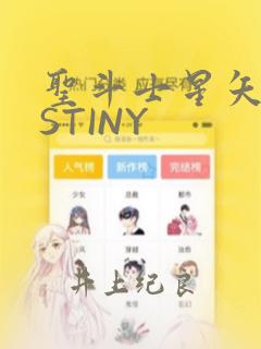 圣斗士星矢DESTINY