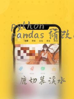 python pandas 修改excel