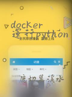 docker 运行python