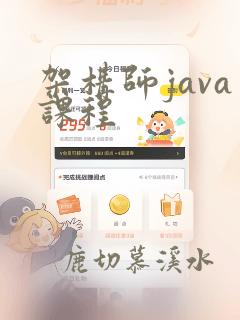 架构师java课程