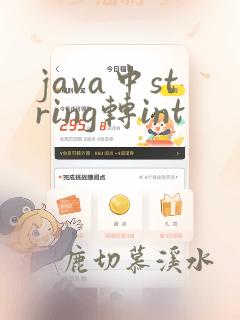java中string转int