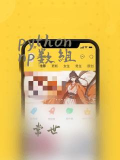 python np数组