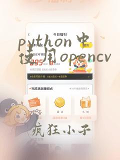 python中使用opencv