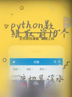 python数组取前10个
