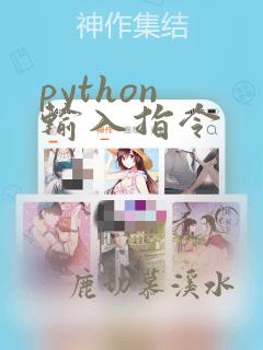 python 输入指令