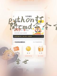 python打开cmd命令窗口