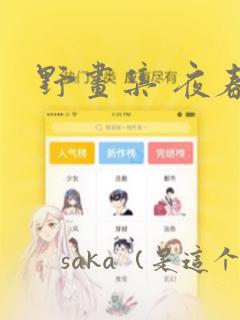 野画集 夜春宫：结局+番外