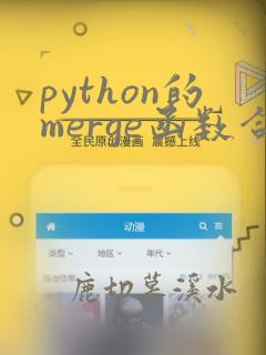 python的merge函数合并数据