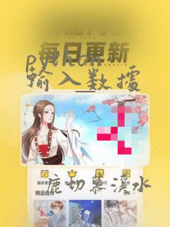 python 输入数据