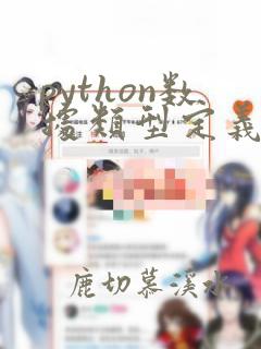 python数据类型定义
